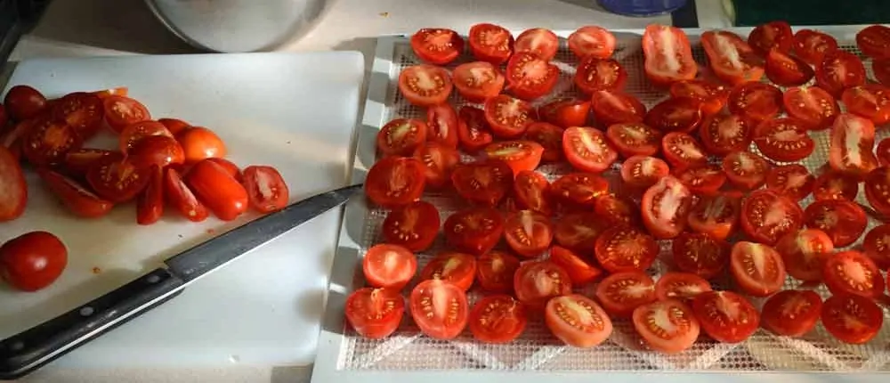 A tray of tomatoes on top of a table.