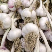 A pile of garlic sitting on top of each other.