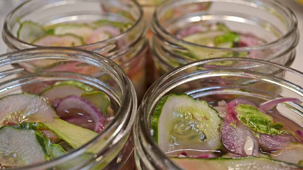 Lime-Mint Freezer Pickles in Jars