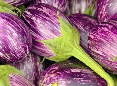 A close up of purple flowers with green stems.