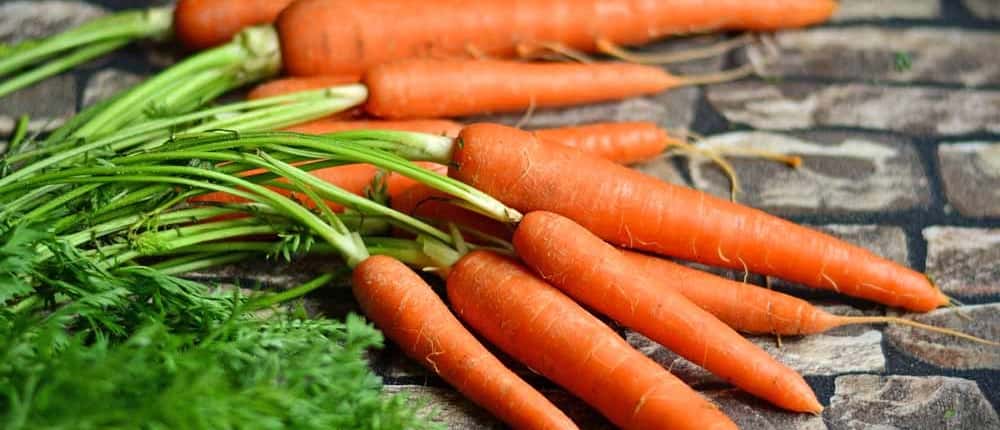 Heirloom Orange Carrots