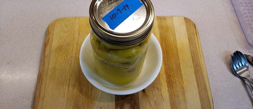 Lemons Starting the Preserving Process