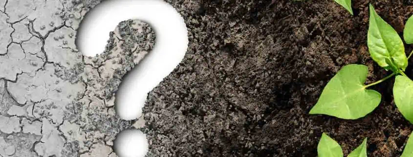 A question mark sitting on top of some dirt.