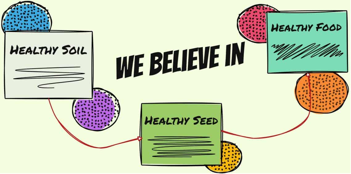 A cartoon of a healthy seed and the words " we believe in "