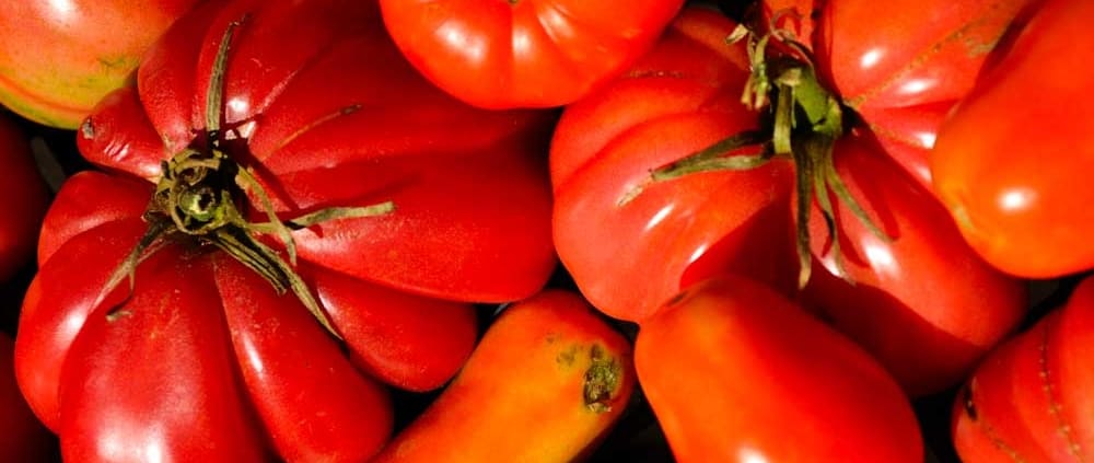 A close up of tomatoes and other vegetables