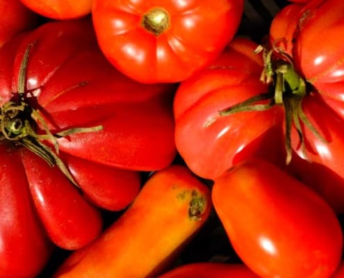 A close up of tomatoes and other vegetables