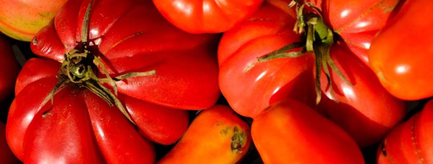 A close up of tomatoes and other vegetables