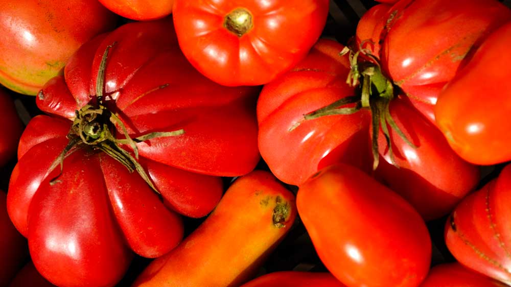 A close up of tomatoes and other vegetables