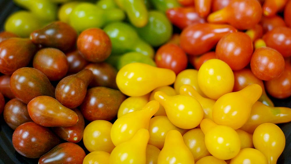 A close up of different types of fruit