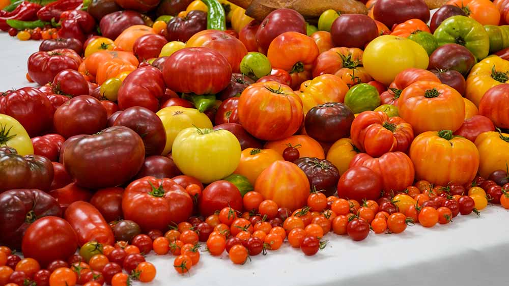 Assortment of heirloom tomatoes