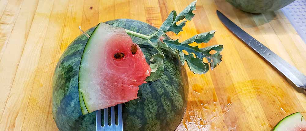 A watermelon with a face cut out of it.