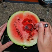 A person cutting into a watermelon with scissors.