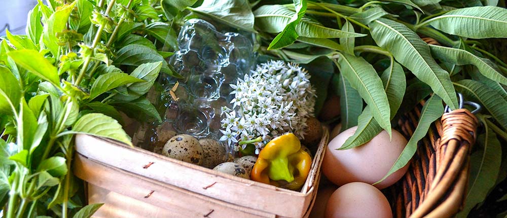 Basket of fresh produce with eggs, basil flowers, and chive blossoms.