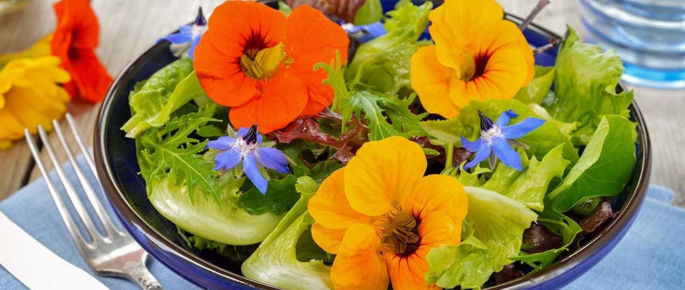 Fresh salad with nasturtium and borage edible flowers.