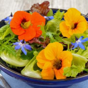 Fresh salad with nasturtium and borage edible flowers.