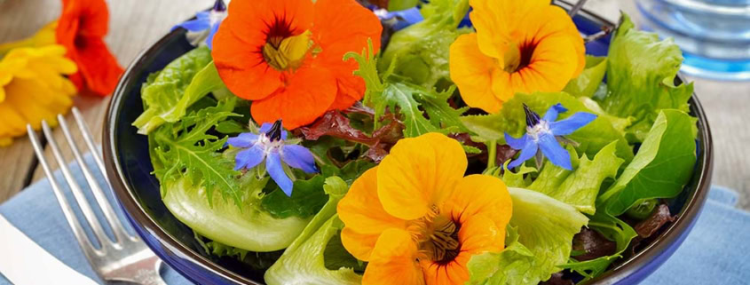 Fresh salad with nasturtium and borage edible flowers.