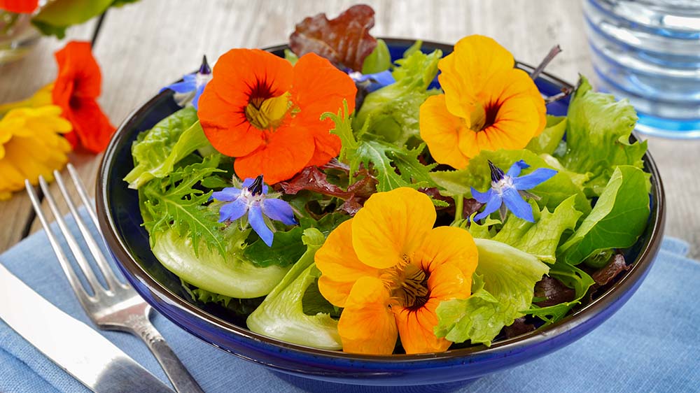 Fresh salad with nasturtium and borage edible flowers.