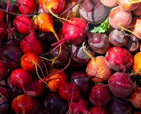 Beets from a cool season garden.