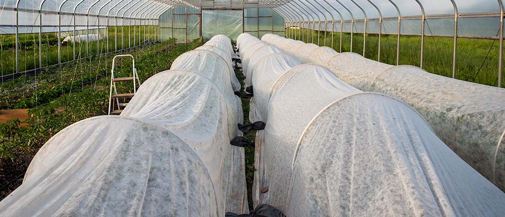 Row covers for frost protection inside a greenhouse