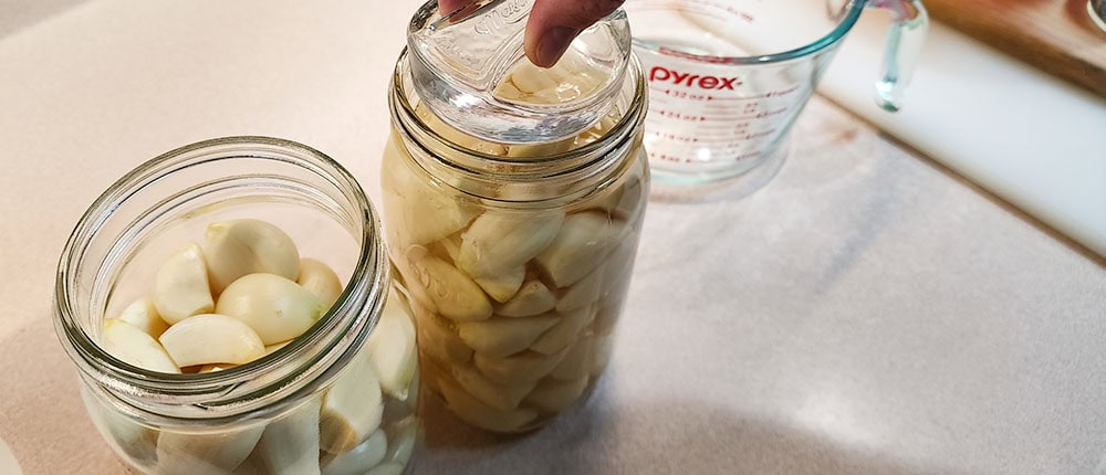 Adding glass weight to vinegar brined garlic.