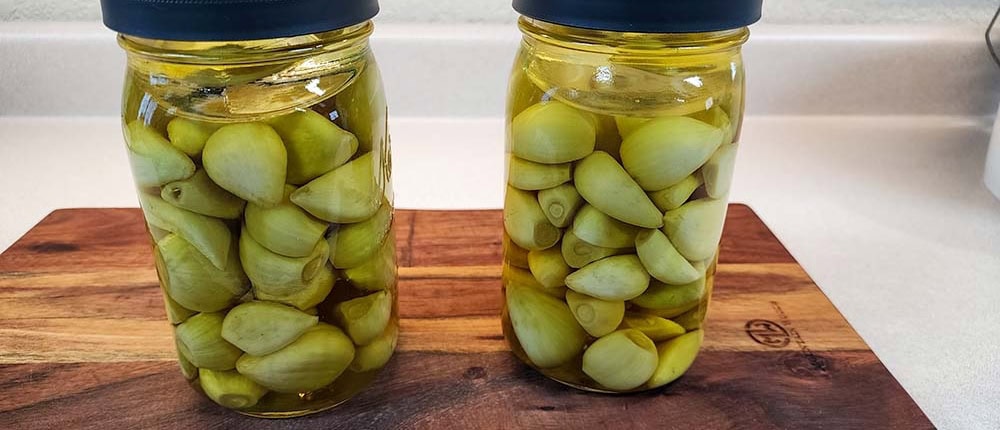 Korean pickled garlic after first brining.