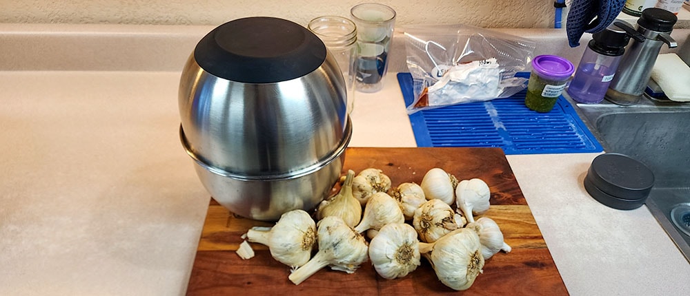 Garlic ready to peel with bowl shaking method.