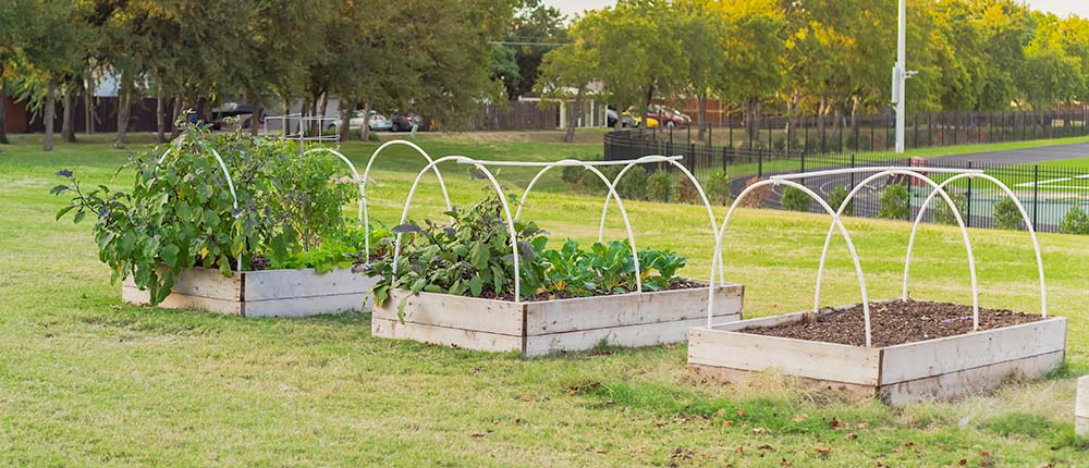 Hoop houses at school garden