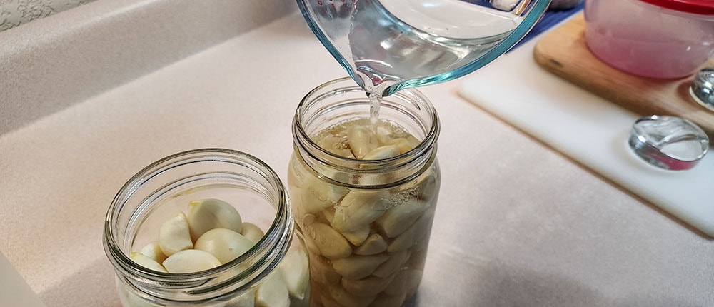 Adding vinegar and salt brine for Korean pickled garlic.