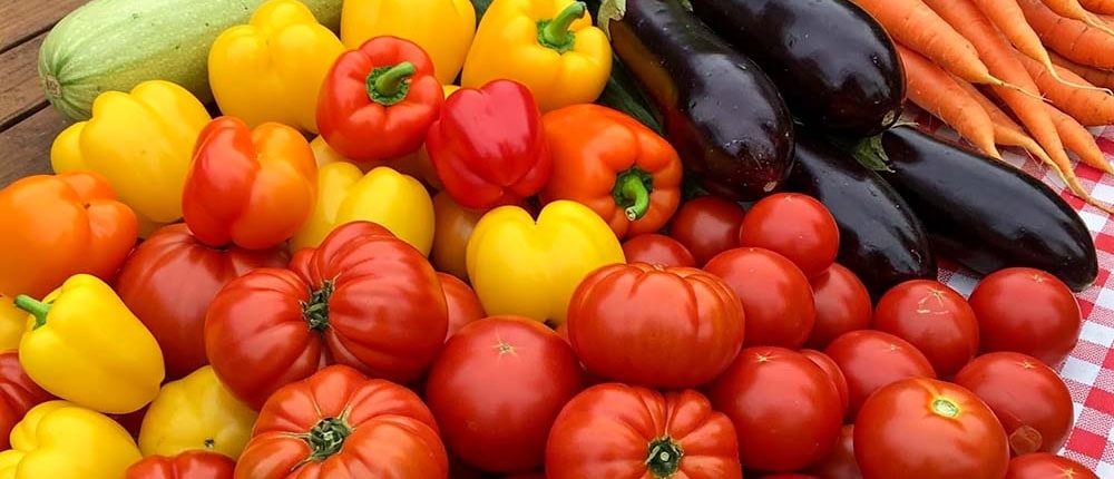 A table of freshly harvested assorted heirloom vegetables.