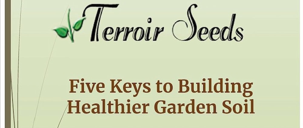 5 Keys to Building Healthier Garden Soil