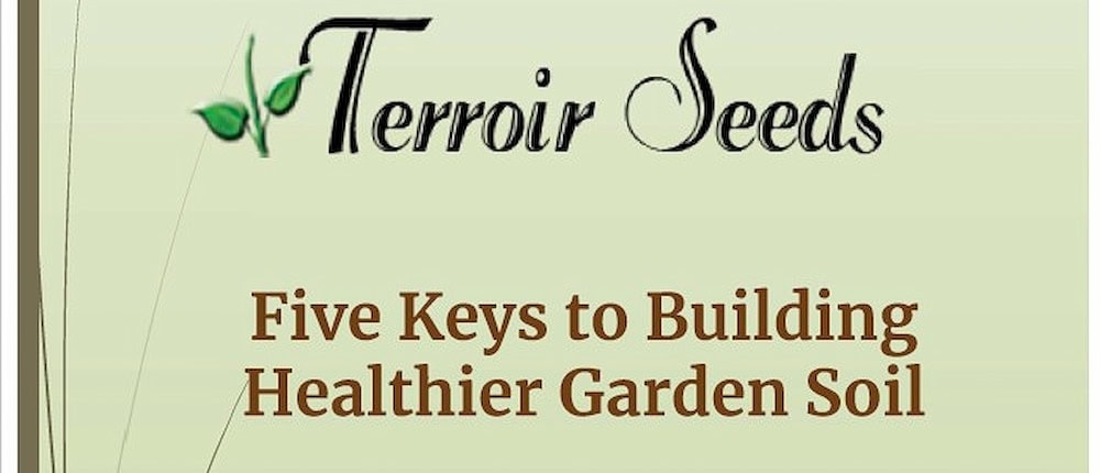 5 Keys to Building Healthier Garden Soil