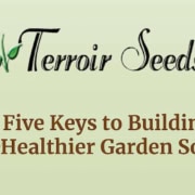 5 Keys to Building Healthier Garden Soil