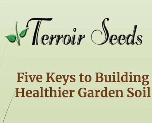 5 Keys to Building Healthier Garden Soil