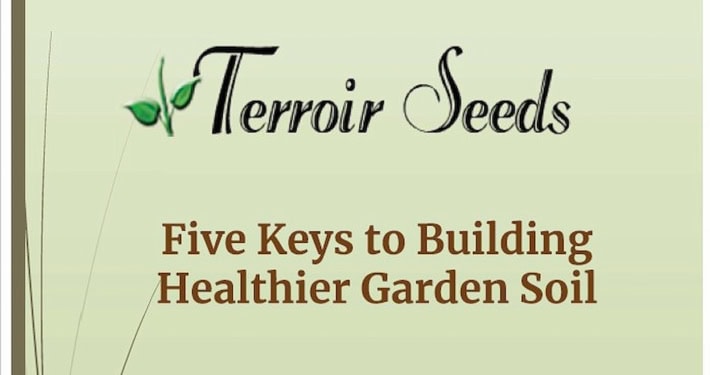 5 Keys to Building Healthier Garden Soil