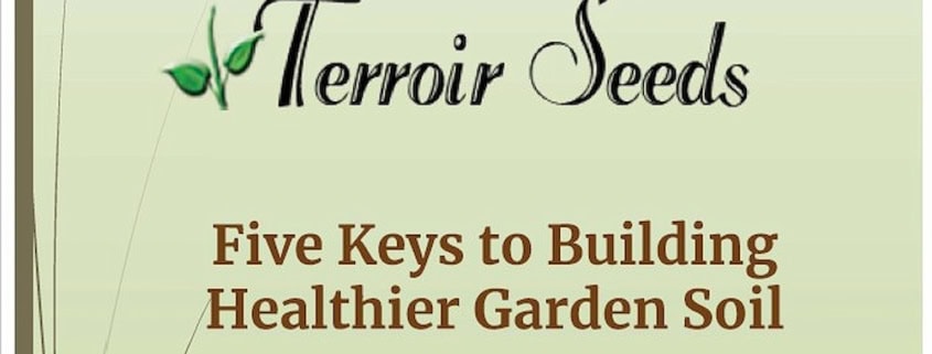 5 Keys to Building Healthier Garden Soil