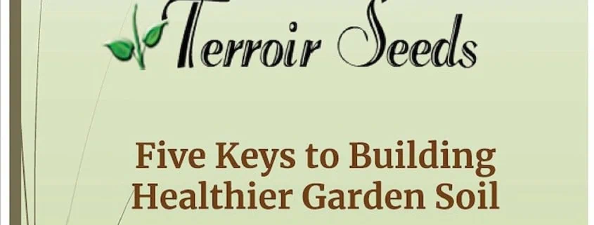 5 Keys to Building Healthier Garden Soil