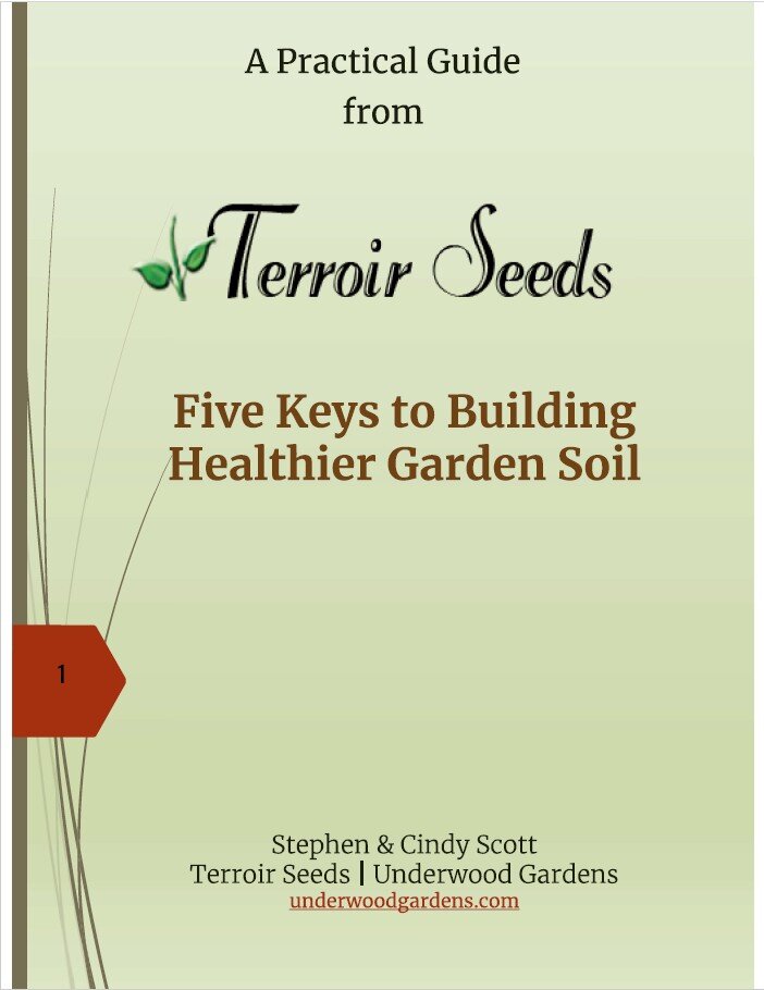 Five Keys to Healthier Soil