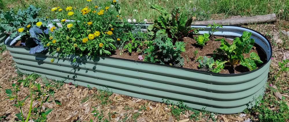 Container Garden