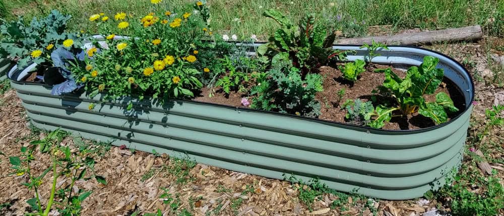 Container Garden