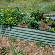 Container Garden