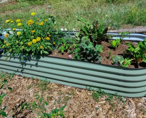 Container Garden