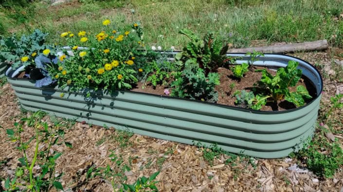 Container Garden Container Garden