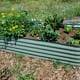 Container Garden