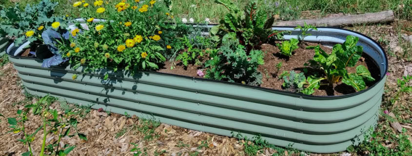 Container Garden