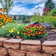 A raised block planter with native and pollinator attracting flowers in it.