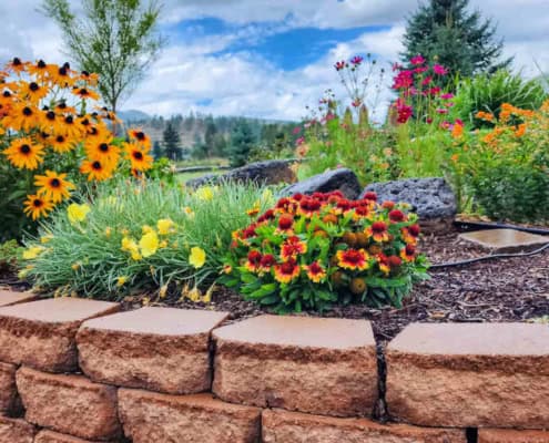 A raised block planter with native and pollinator attracting flowers in it.