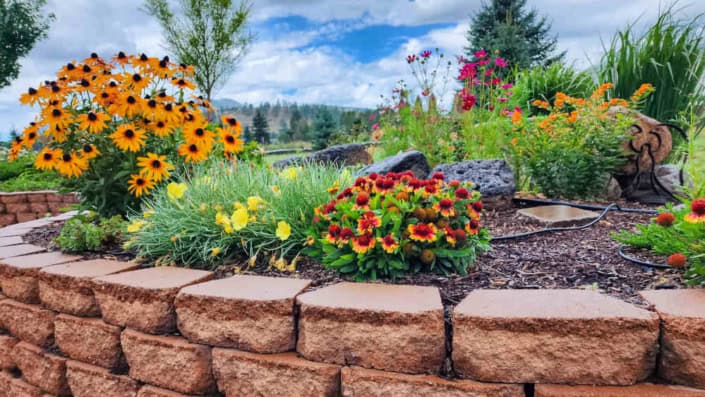 Protecting Your Soil A raised block planter with native and pollinator attracting flowers in it.