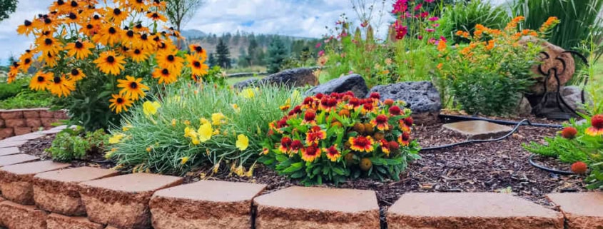 A raised block planter with native and pollinator attracting flowers in it.
