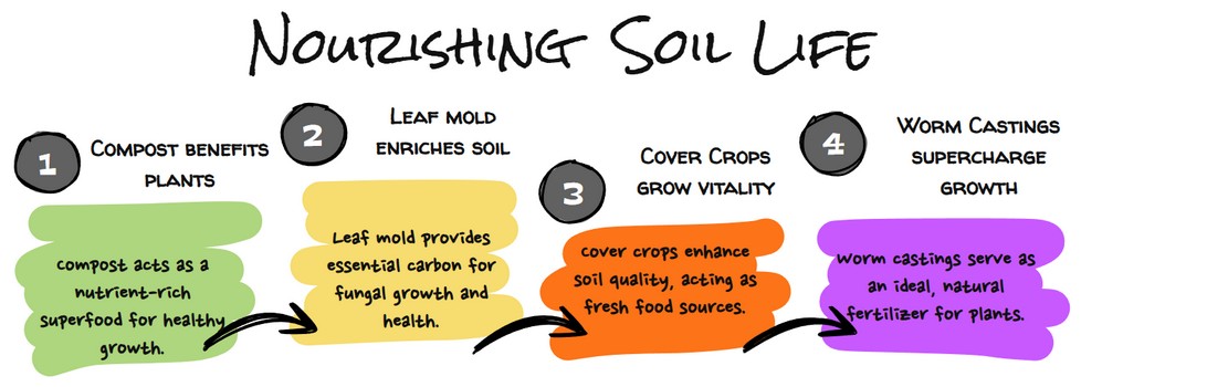 Nourishing Soil Life graphic