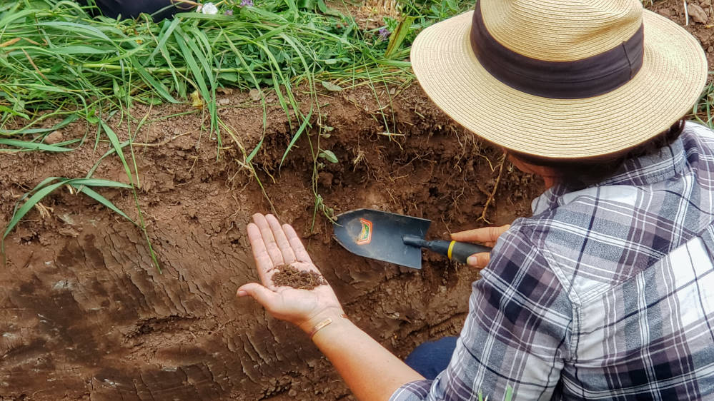Unseen workforce in the soil